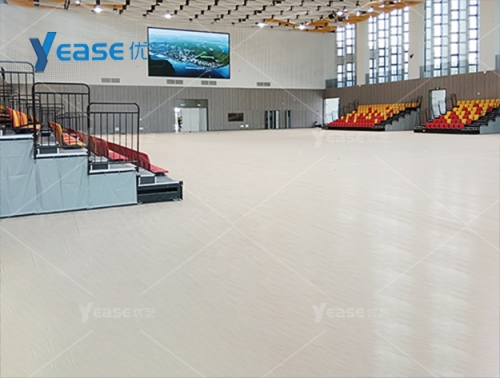 廣東省東莞市大灣區(qū)大學(xué)體育館